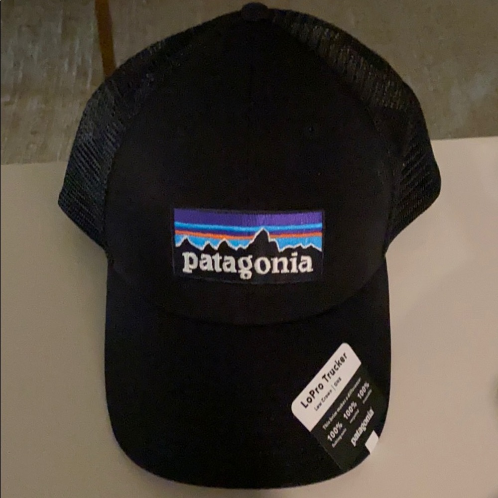 Patagonia trucker adjustable hat